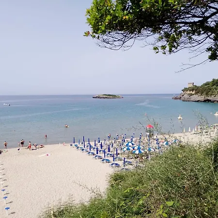 Sant'alfonso